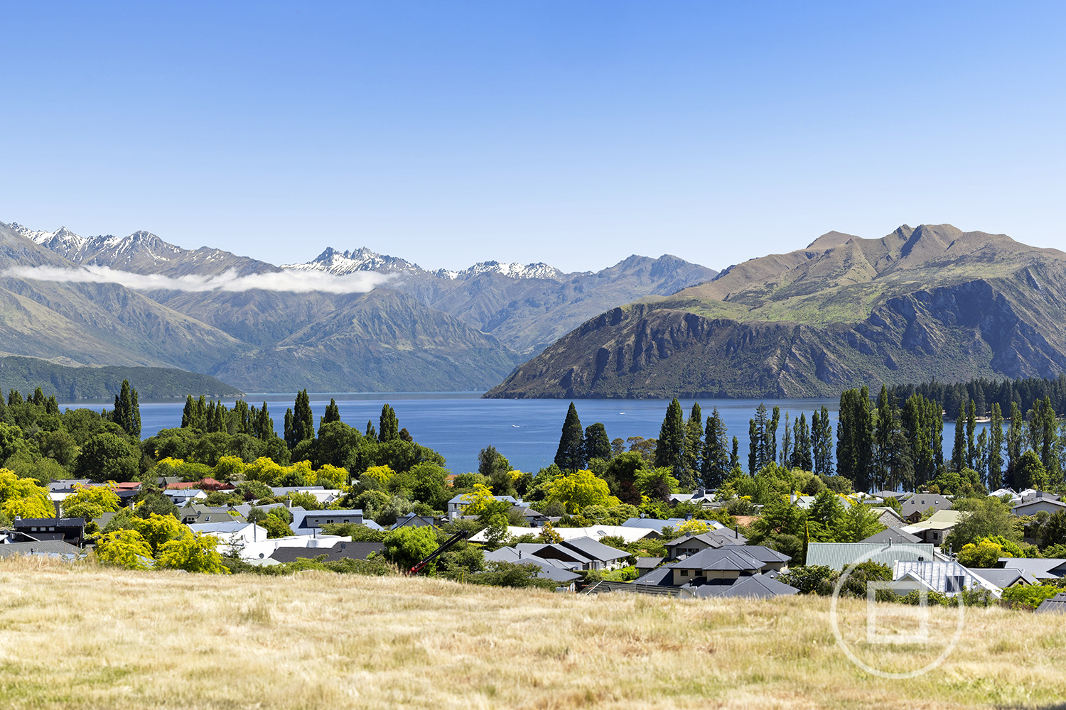 Tiffany Lane section sells for an incredible price in Wanaka.